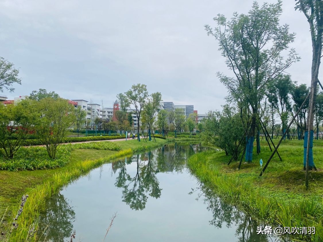 郫都区有什么不值得买的房子,郫都有什么劣势