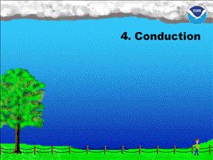 550只羊被雷劈死,500头羊被闪电劈死