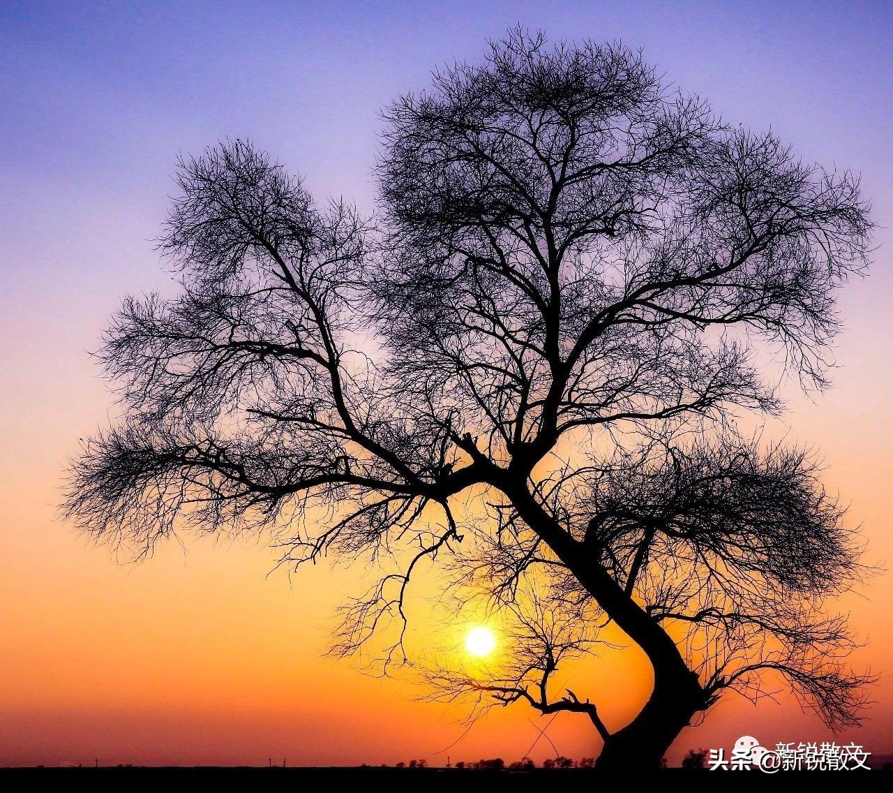 父亲做菜秘方,父亲教我做菜