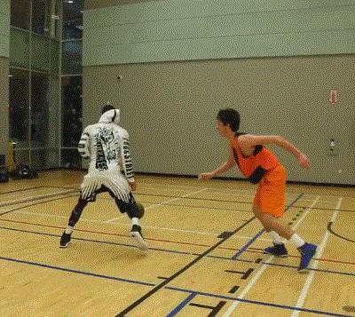 街球与职业篮球的区别,职业篮球和街头篮球区别