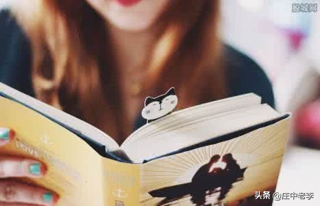 新手了解股票基本知识入门,外汇股票入门基础教程