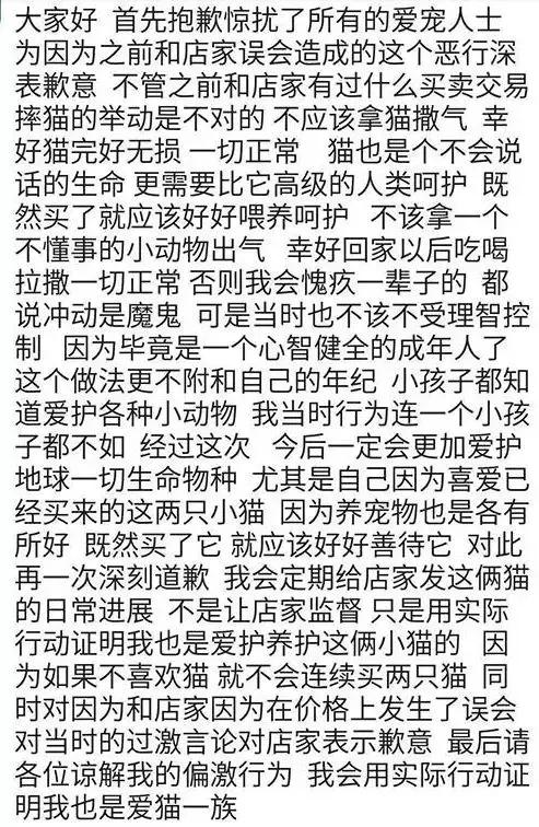 把猫咪打死了心情很沉重,发火了把猫咪差点打死猫咪会怎样