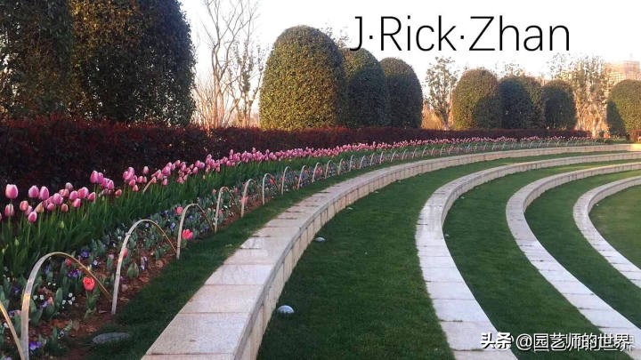 适合北方庭院种植的低矮草坪,家庭庭院怎样混搭种植草坪和蔬菜