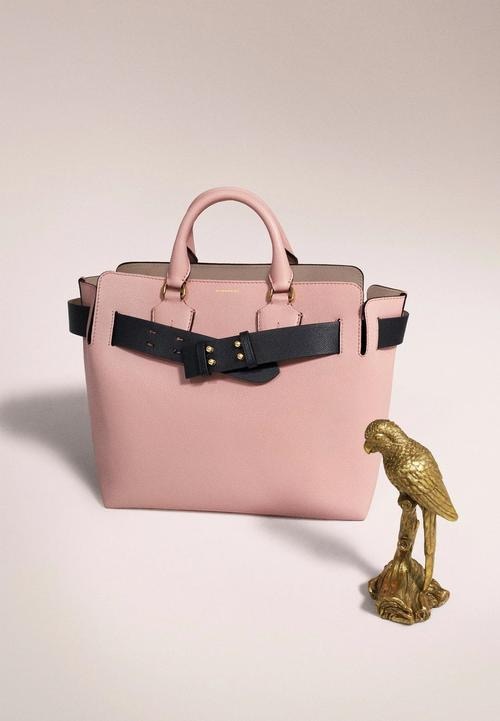 巴宝莉必买女包,巴宝莉包包图片大全