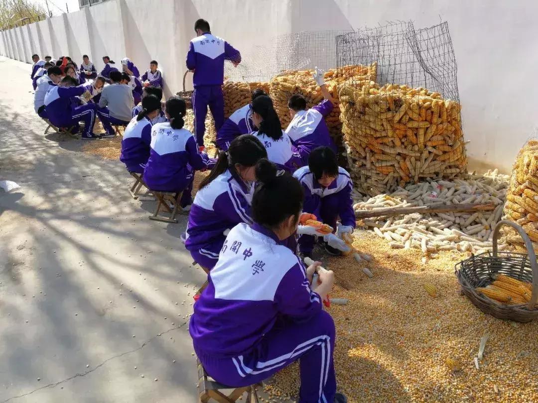 天津南开中学具有厚重的历史文脉,在天津学习心得体会