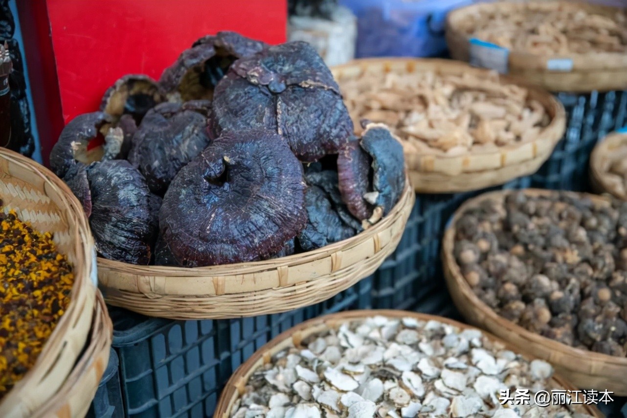 瓜瓜豆豆的视频,瓜瓜豆豆视频