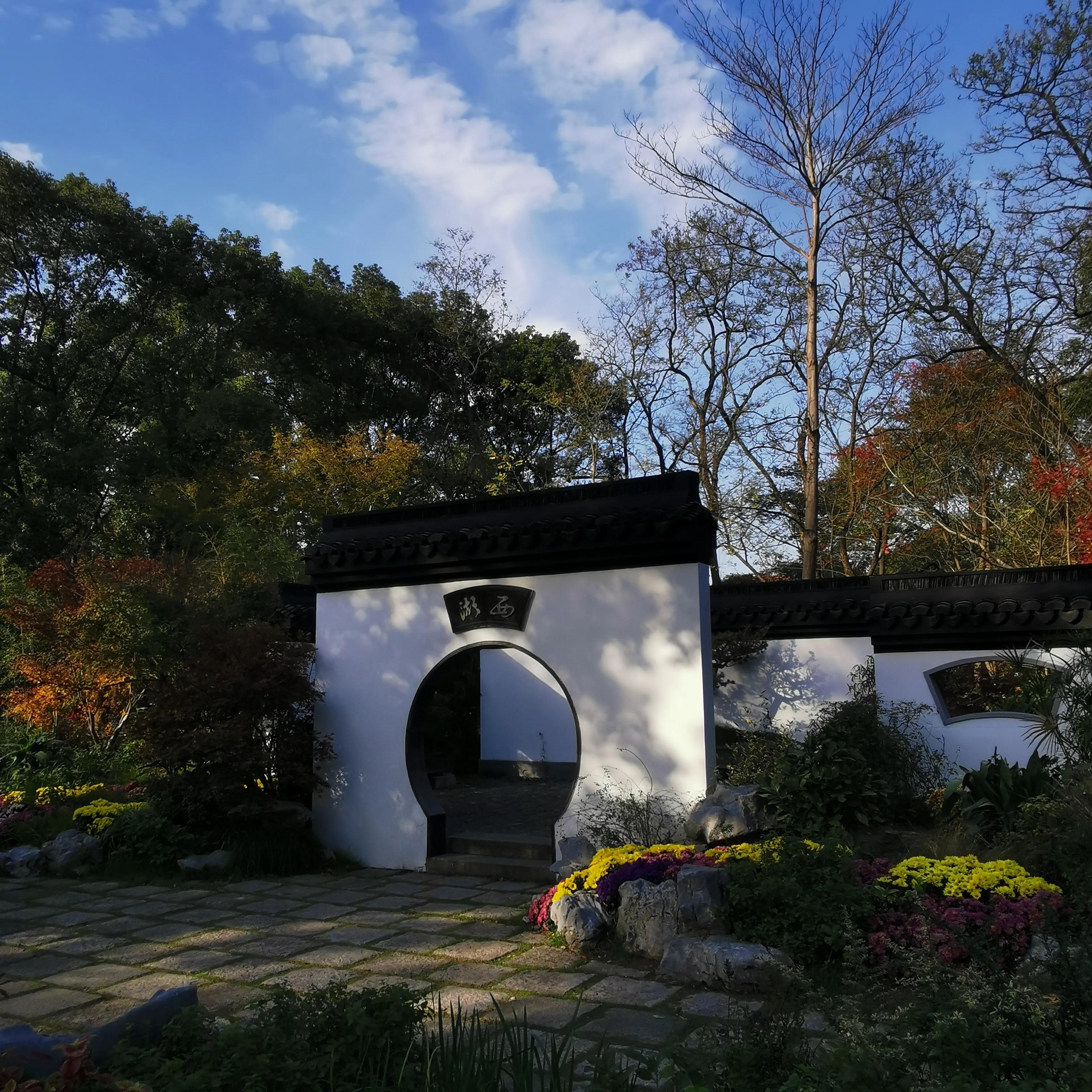 上海共青森林秋景,上海共青森林公园夜景