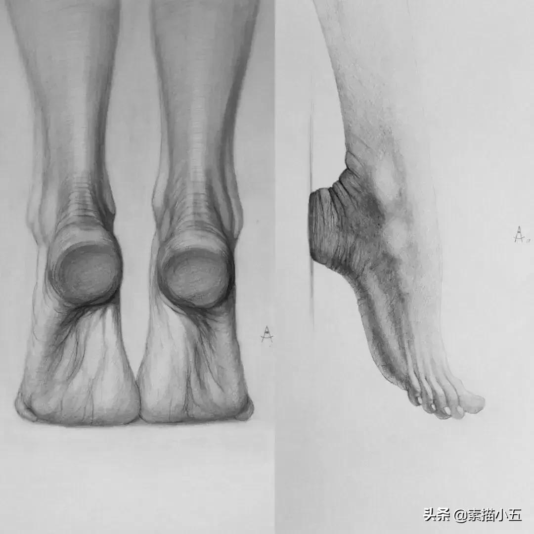 他画的素描无与伦比,他画的画栩栩如生让人拍案叫绝