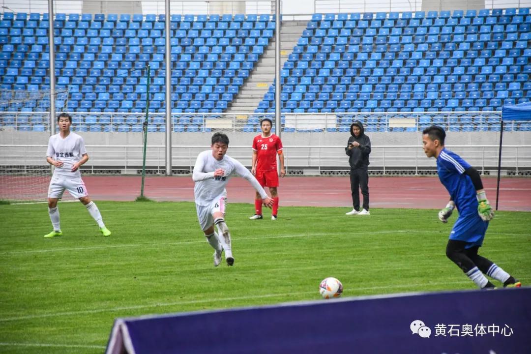 毛铺紫荞酒2019,毛铺紫荞酒1.68l