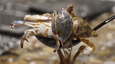 惠州融创海湾半岛家庭公寓房装修,惠州融创海湾半岛顶楼3层复式