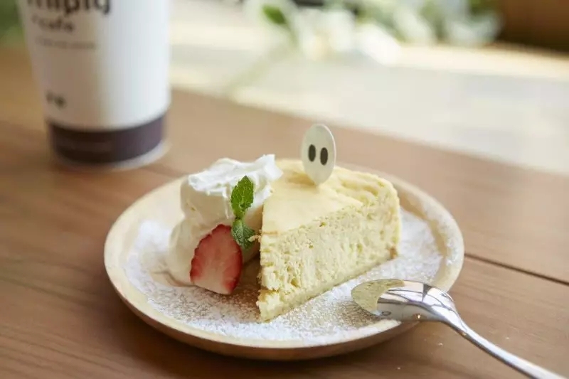 猫咪必去的咖啡馆 (猫咪咖啡厅有什么)