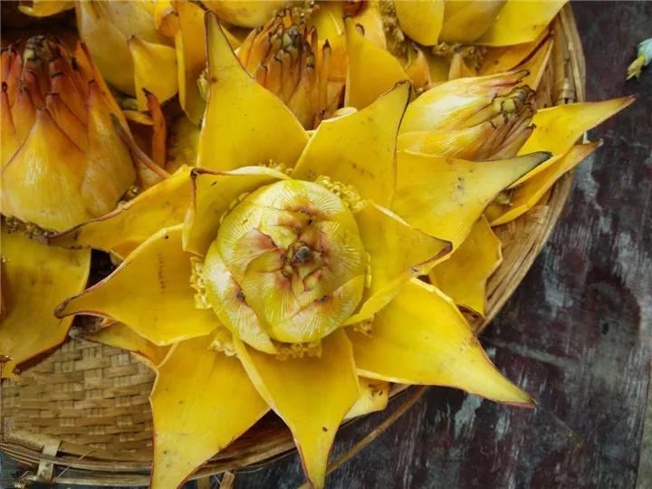 什么花放在家里最好看最实用,放家里风水好又好养的花有哪些