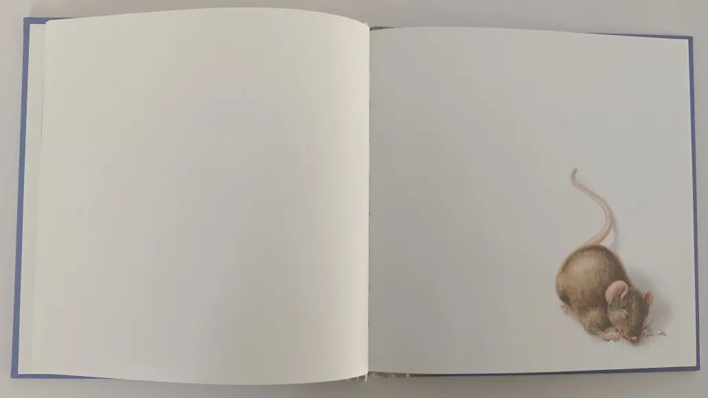 无字绘本老鼠,绘本懒惰小老鼠是怎么介绍的