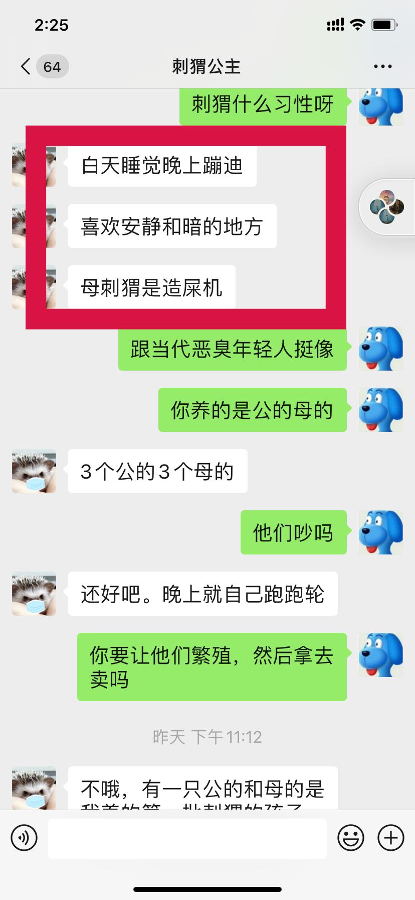 野生小刺猬有几种,野生小刺猬在哪里