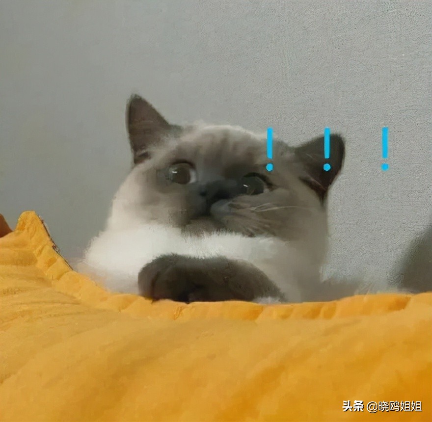 绝对收益基金受热捧,绝对收益类基金产品