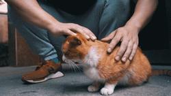 私教课免费教程,健身房私教转课规则