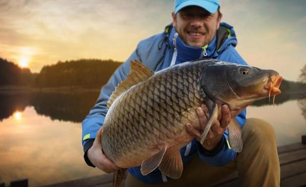 提醒这3种食物尽量别吃,医生提醒四种鱼要少吃