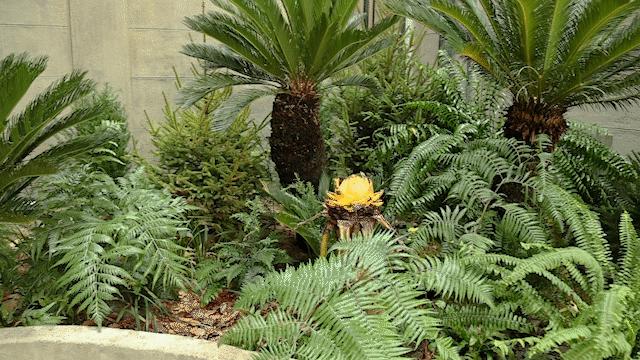 时髦精都在逛的hAomArket好市，一站式承包你的冬日小众好物