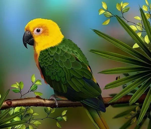 平面设计用什么软件自己接单,平面设计用什么软件做效果图