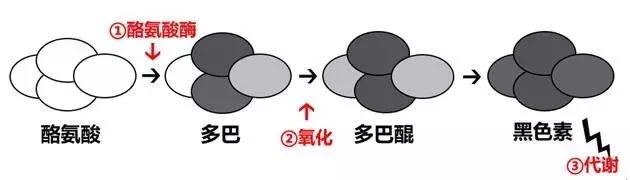 美白别花冤枉钱,与其盲目消费还不如理智消费