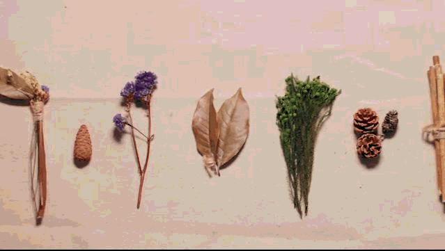 她31岁放弃北漂，回归自然，用枯枝败叶，打造了一个梦幻森林