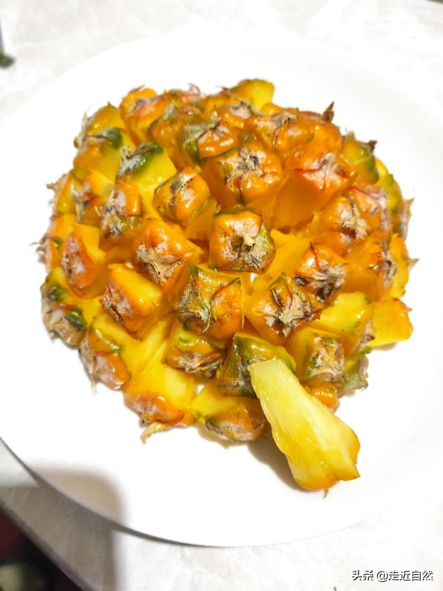 菠萝食用部位是果实的什么,菠萝的果实是什么东西