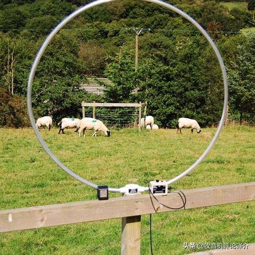 收音机短波有源天线测评,收音机短波对比