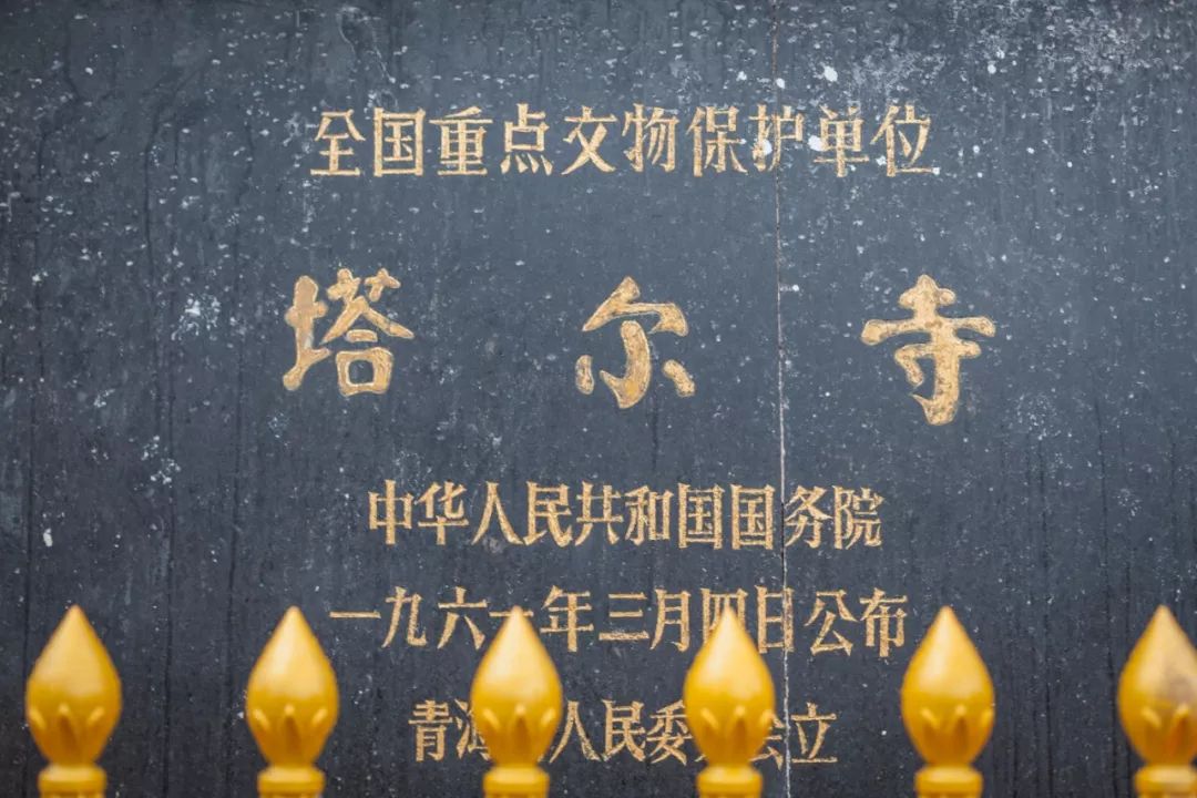 只要你面朝青海湖，八月依旧春暖花开