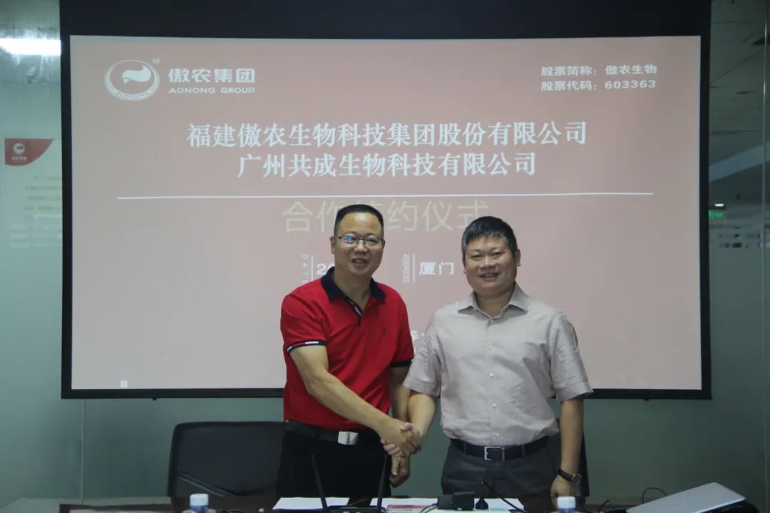 饲料业的前景如何,饲料产业的未来