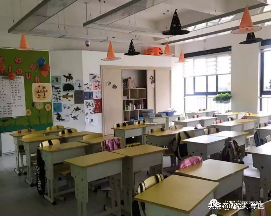 大源板块学校,大源片区最好的小学