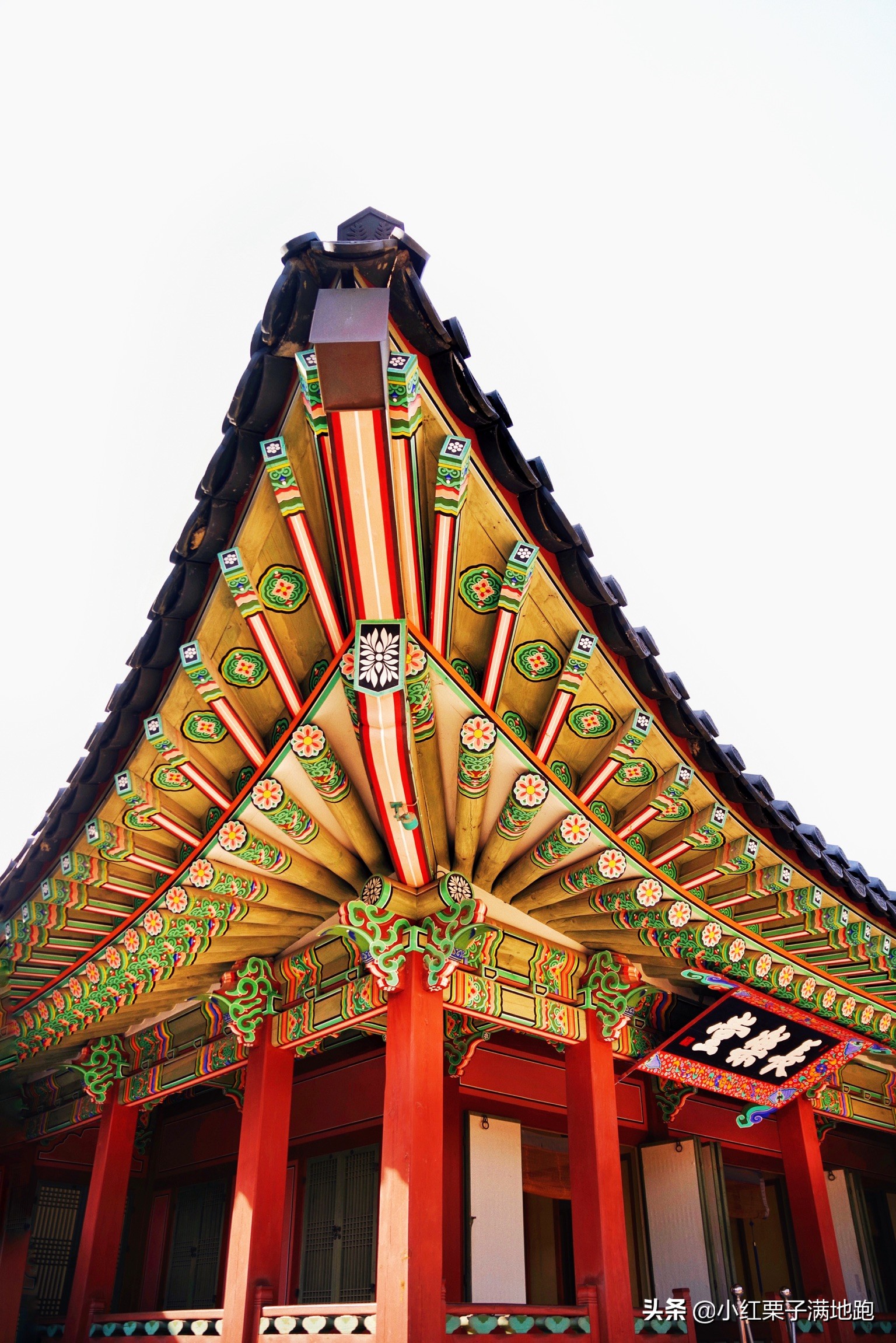 疫散花开张家界,疫散花开欢迎归来