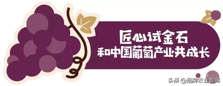 巨峰葡萄在中国的历史,巨峰葡萄谁引进