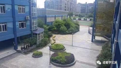 和泡小非常像的一个分校之最全盘点！​