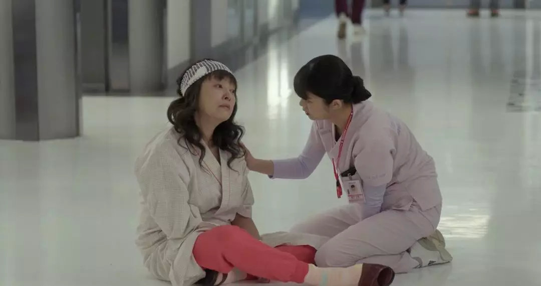 如果你有结婚的打算,领证婚检检查哪些项目