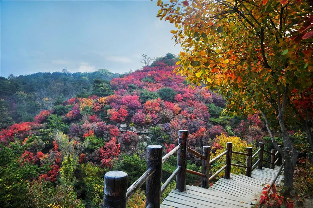 济南遛娃室内去哪里玩,济南遛娃好玩的地方