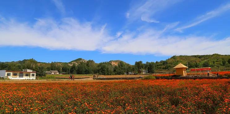 秦岭深处绝美村落,秦岭深处一座美丽的世外桃源