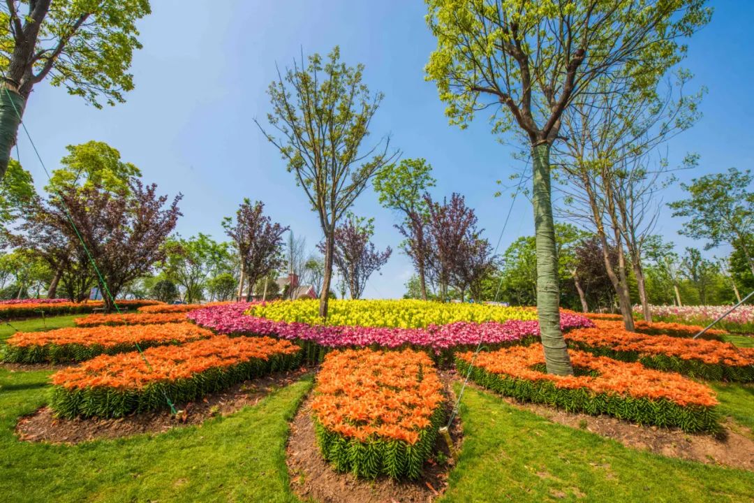 椋庣墿涔嬮兘,椋庣墿鍥涘窛