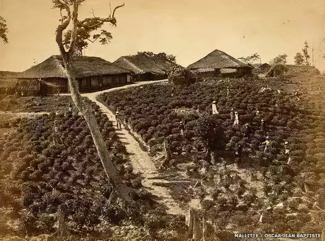 100年坑蒙拐骗，英国怎么抢走了大清的商业王座