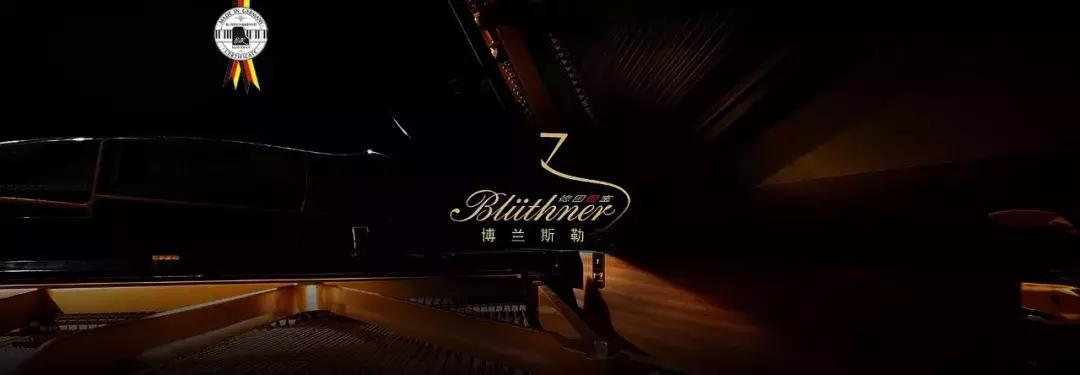 买德系车推荐,买德系钢琴