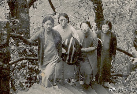 袁昌英是哪里出生的,袁昌英祖籍是哪里