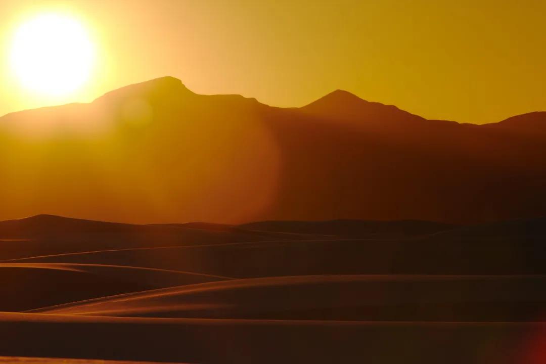 张仲景伤寒论第48讲,谢国仲简介