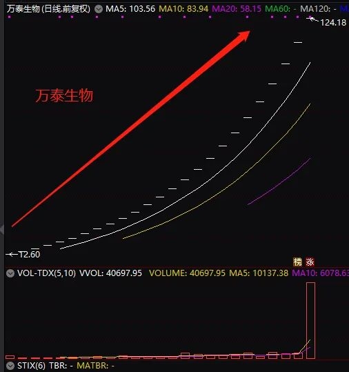 历史上中一签赚最多的新股,中1签赚10万年内最牛新股诞生