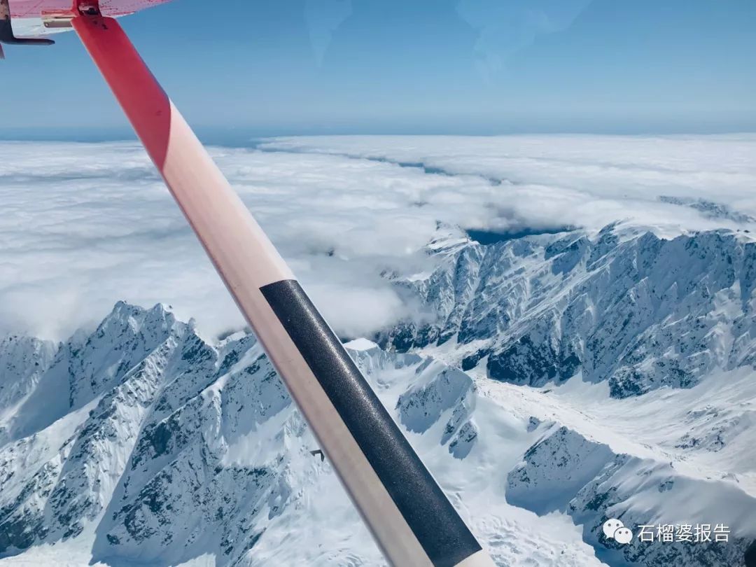 旅行7天,新西兰霍比特人村游记