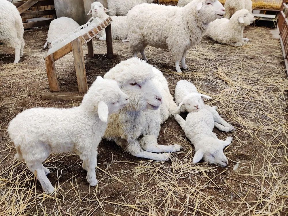 逛skp要花多少钱,第一次逛北京skp