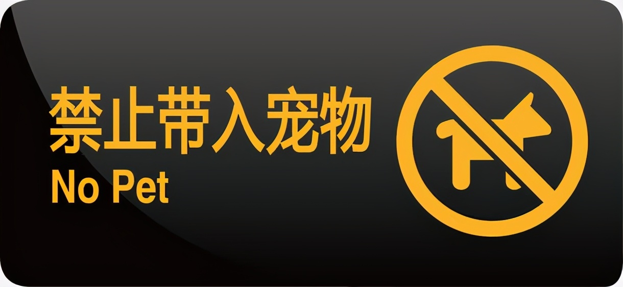 导盲犬一般是什么狗品种,大型导盲犬是什么狗品种