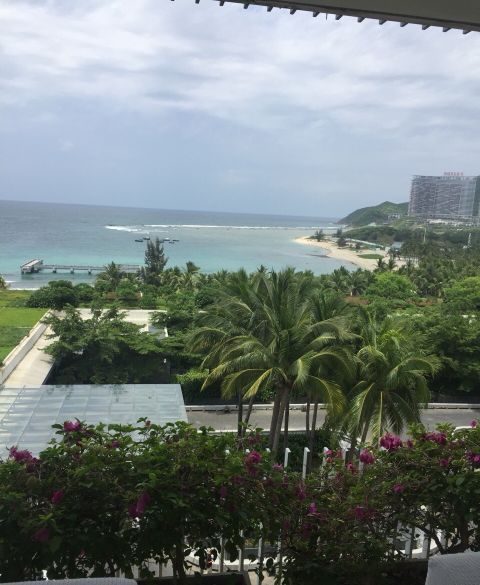 三亚洲际酒店海棠湾,三亚洲际酒店拍卖