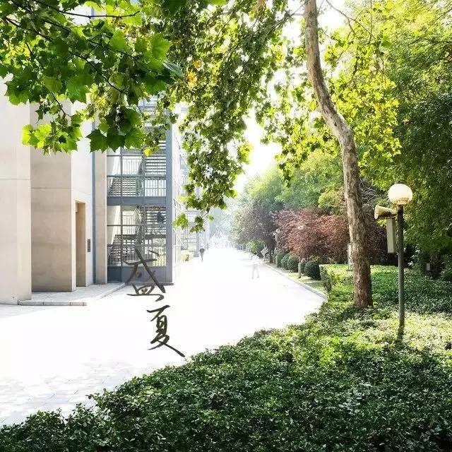 天津最牛的中学是哪个,天津中学排名2020完整版