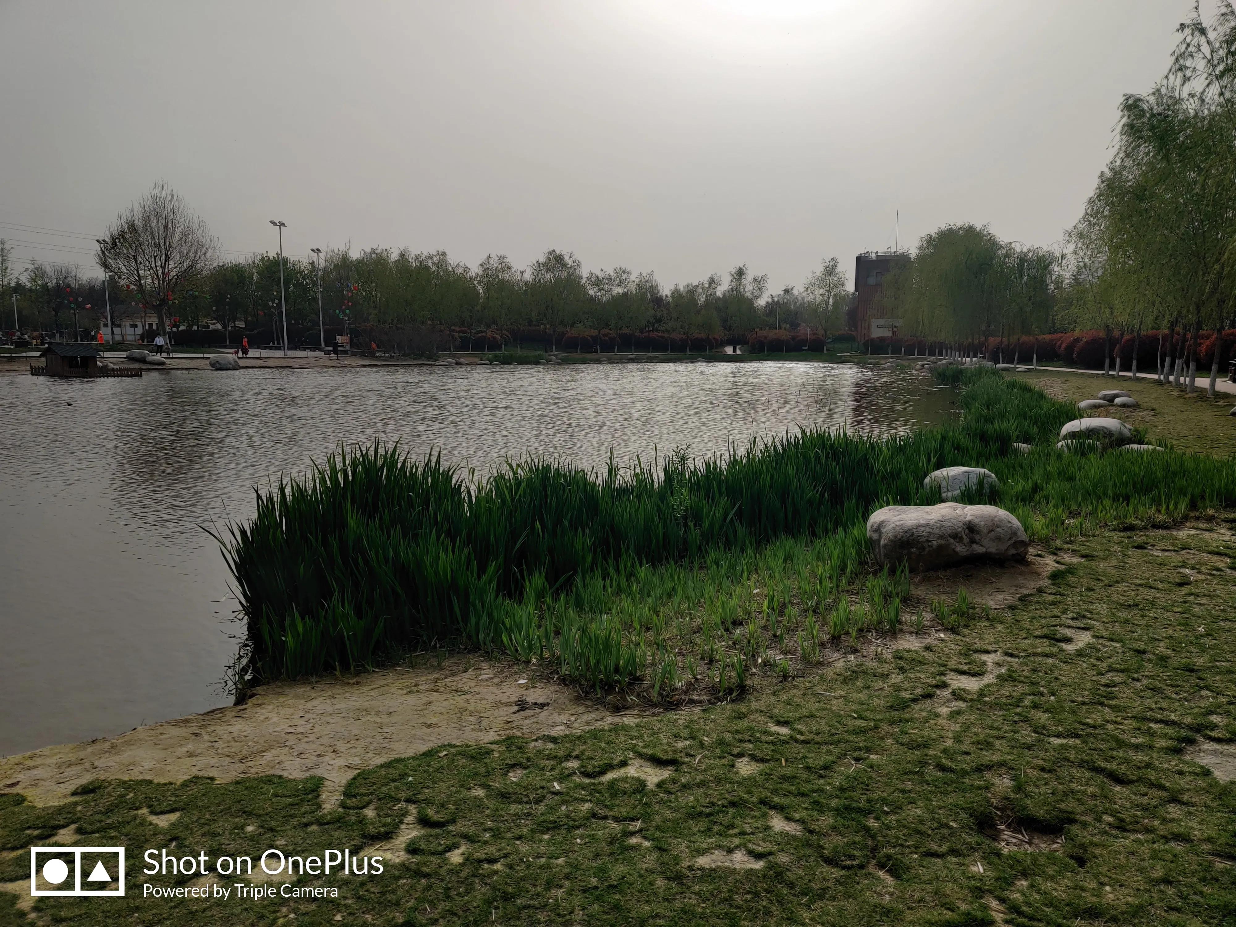 春天真美啊美得像什么,春天真美呀补充完整句子