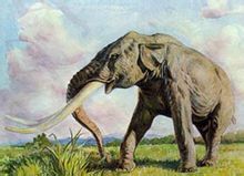 象牙进化历史,象牙是如何进化的