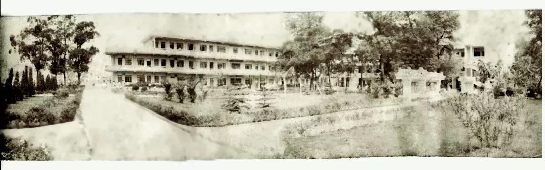 深圳改革40周年国家记忆,深圳教育改革